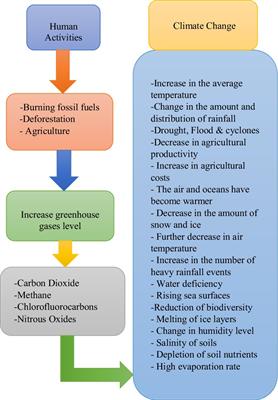 Uptake of climate-smart agricultural technologies and practices: a three-phase behavioral model